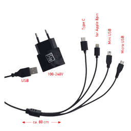 Bild von Mini 4 in 1 USB Netzladegerät 100V-240V - schwarz